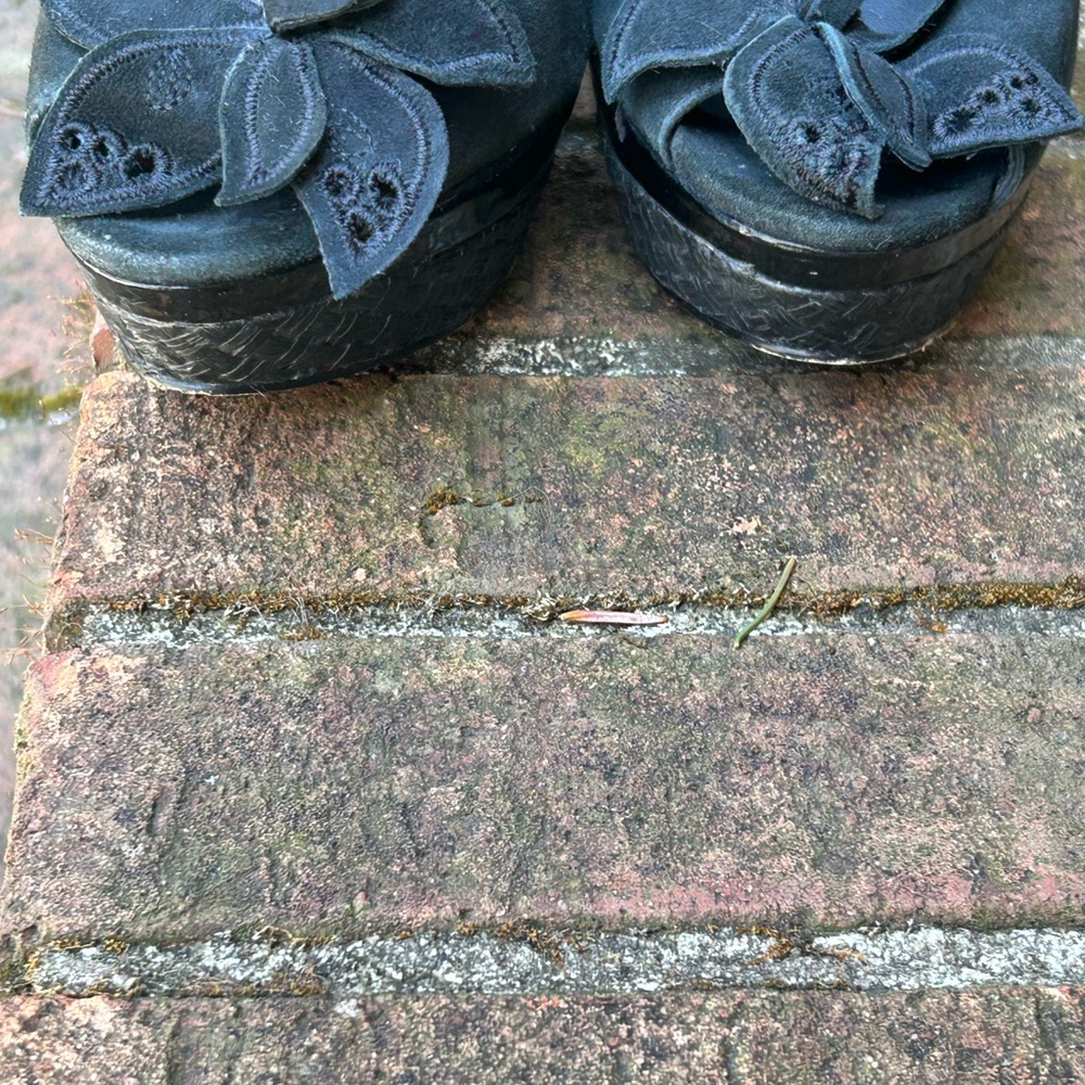 Charles David Black Wedge Heels - Picture 5 of 11